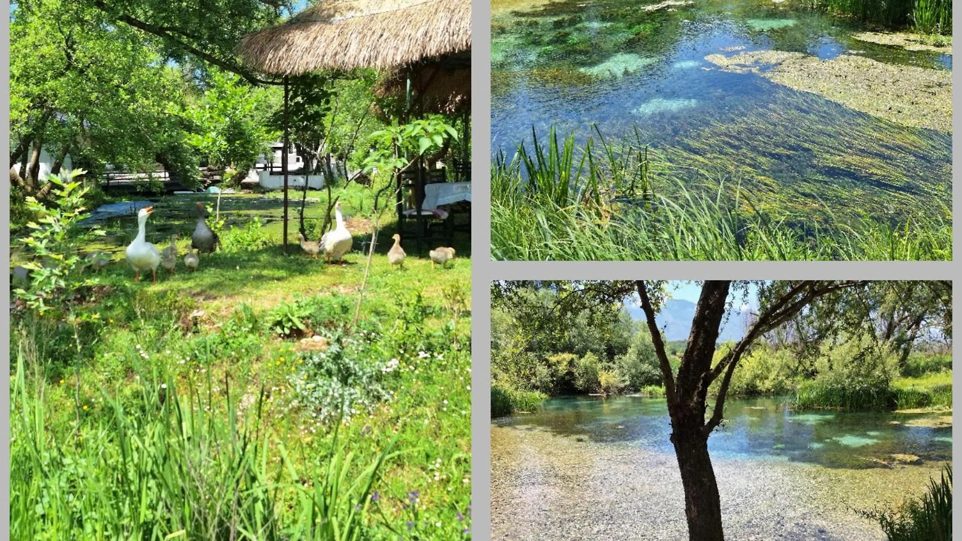 Vacanze Pushime Albania Radhime Apartment